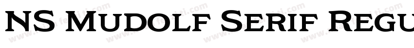 NS Mudolf Serif Regu字体转换